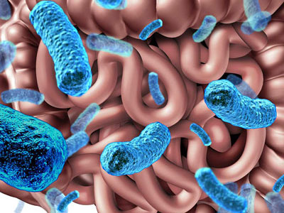 Foods to avoid with Pancreatitis