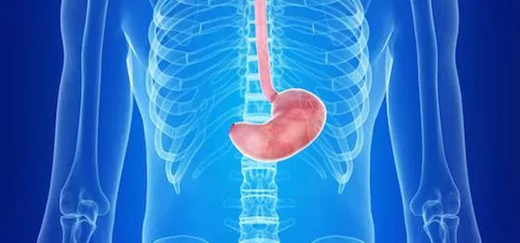 Gastroenterology Doctor in Hyderabad