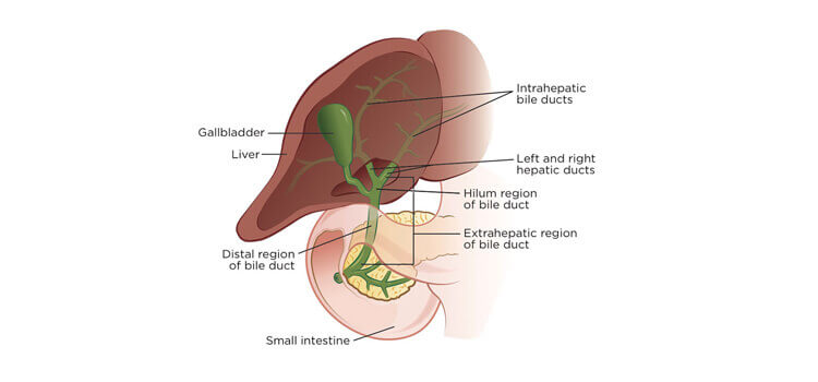 Best Gastroenterologist in Hyderabad